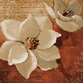 Image Not Available